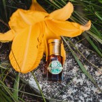 Perfumy w olejku 5ml PATCHOULI paczulowe