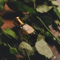 indyjskie perfumy w olejku drzewo sandalowe wetiwer