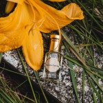 Perfumy w olejku 5ml PRECIOUS SANDAL drzewo sandałowe