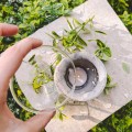 kamienny kominek do aromaterapii i olejkow swiecznik indyjski