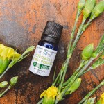 Olejek zapachowy na bazie roślin CYTRONELLA +TRAWA CYTRYNOWA