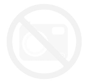  AJURWEDYJSKI OLEJEK do włosów i skóry głowy WZMOCNIENIE I ODŻYWIENIE 90 ml